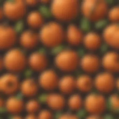 An artistic rendering of various types of Apricorn Pokémon