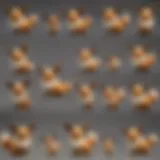 A vibrant display of various Eevee figures showcasing its numerous evolutions.