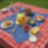 Vibrant picnic tablecloth set on a green meadow