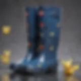 Elegant Pokemon Rain Boots Design Elegant Pokemon Rain Boots Design