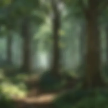 Mystical Pokemon XYZ Forest Scene