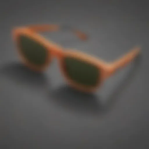 Sophisticated design of REI clip-on sunglasses