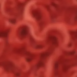 Abstract Scarlet Swirls