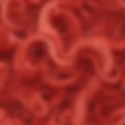 Abstract Scarlet Swirls