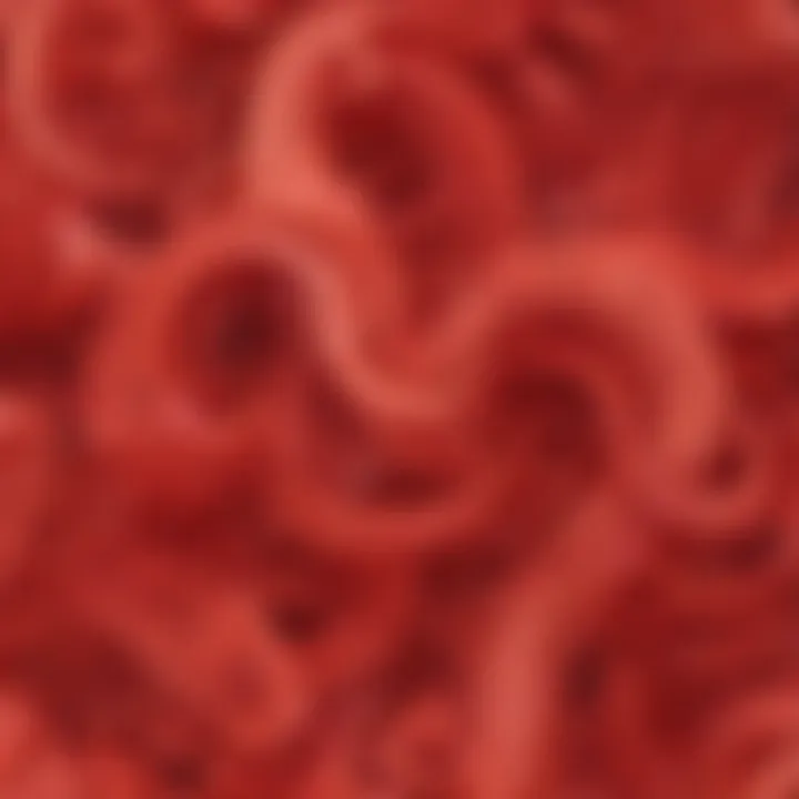 Abstract Scarlet Swirls