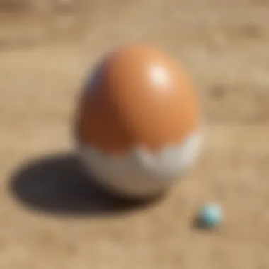 Pokemon Eggs Hatching