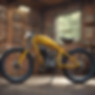 A well-organized local bike shop showcasing a variety of models