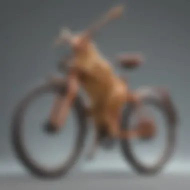 Bicycle Shopping Online Online shopping for bicycles on a computer screen
